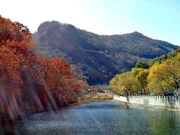 澳门天天好好免费资料，北京的市花是什么